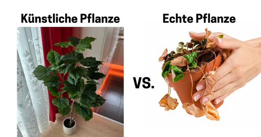 Vorteile von künstlichen Pflanzen