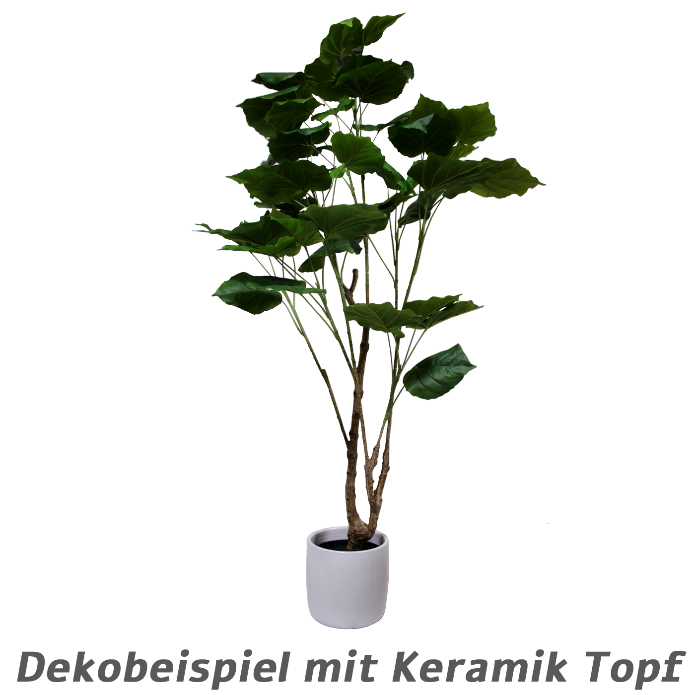 Bodenpflanze, real touch, 120 CM, massiver Stamm, natürliche Farben - PlantsForLife