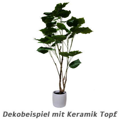 Bodenpflanze, real touch, 120 CM, massiver Stamm, natürliche Farben - PlantsForLife